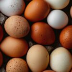 verschil witte en bruine eieren